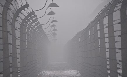 Imagen de las alambradas que rodeaban el campo de exterminio de Auschwitz |  Pawel Sawicki / Auschwitz-Birkenau State Museum