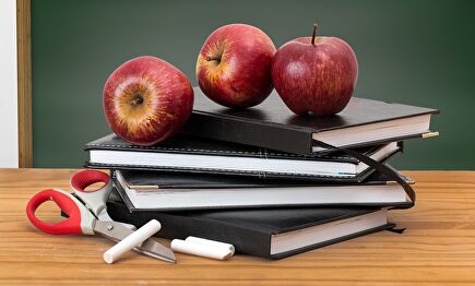 Los libros son una de las principales partidas |  Pixabay/CC/stevepb