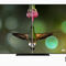 Apple TV 4KEl nuevo Apple TV 4K obviamente reproduce vídeo en esa resolución y acepta el estándar Dolby Vision, que es el que emplean la mayoría de servicios de streaming para mostrar imágenes en HDR.