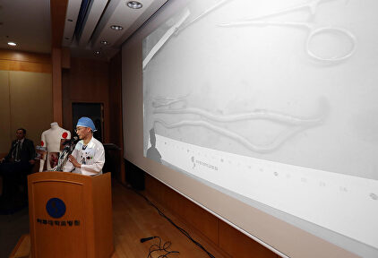 Un momento de la exposición del médico | EFE