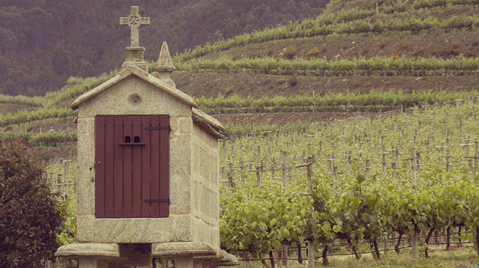 El albariño espumoso se dispara y coge por sorpresa a los productores de cava Albarino-galicia