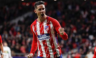 Fernando Torres. |  EFE