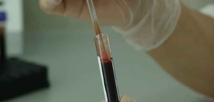 Científicos españoles son los autores del hallazgo |  Pixabay/CC/PublicDomainPictures