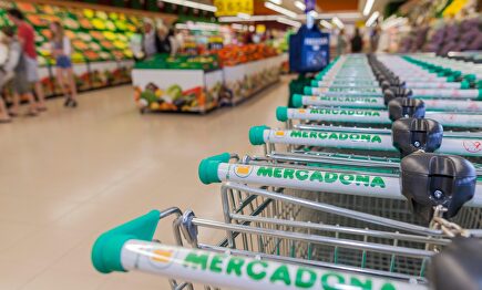 Carritos de Mercadona |  Alamy