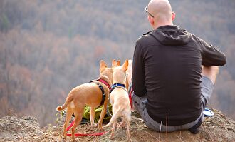 El turismo rural se disparará este verano | Pixabay/CC/msandersmusic