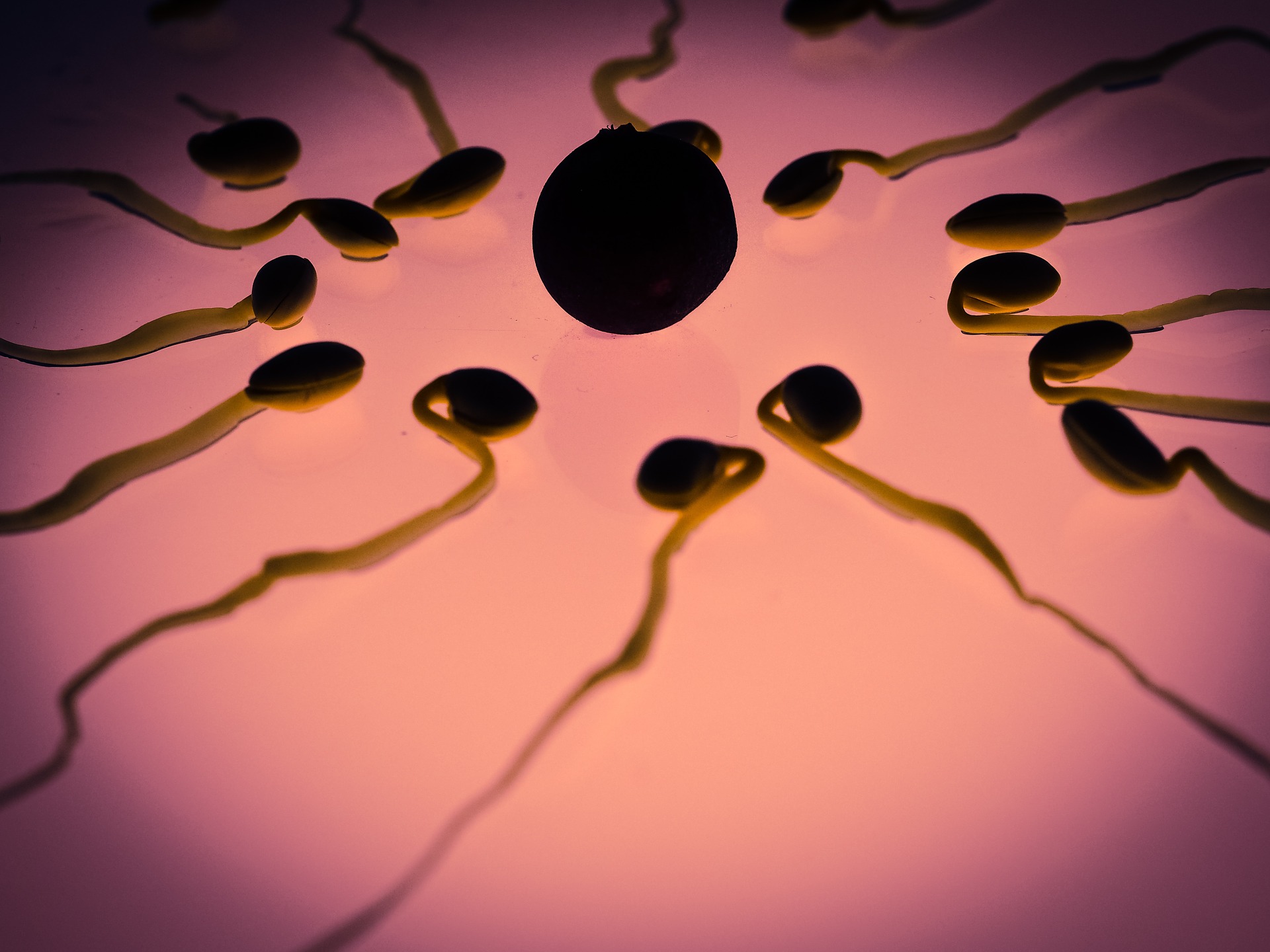 They denounce a sperm donor who could have fathered more than 550 children