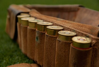 EEUU, récord en compra de armas. | Pixabay