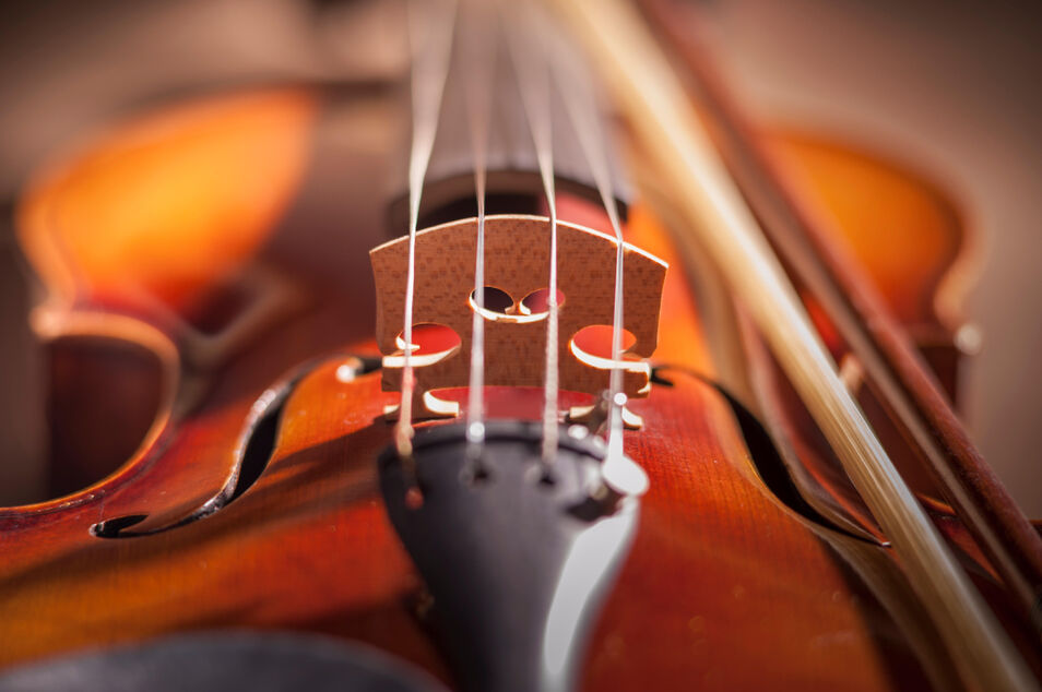 Dicen haber encontrado el secreto de Stradivarius: ¿sabe distinguirlo de otro violín?  Violin