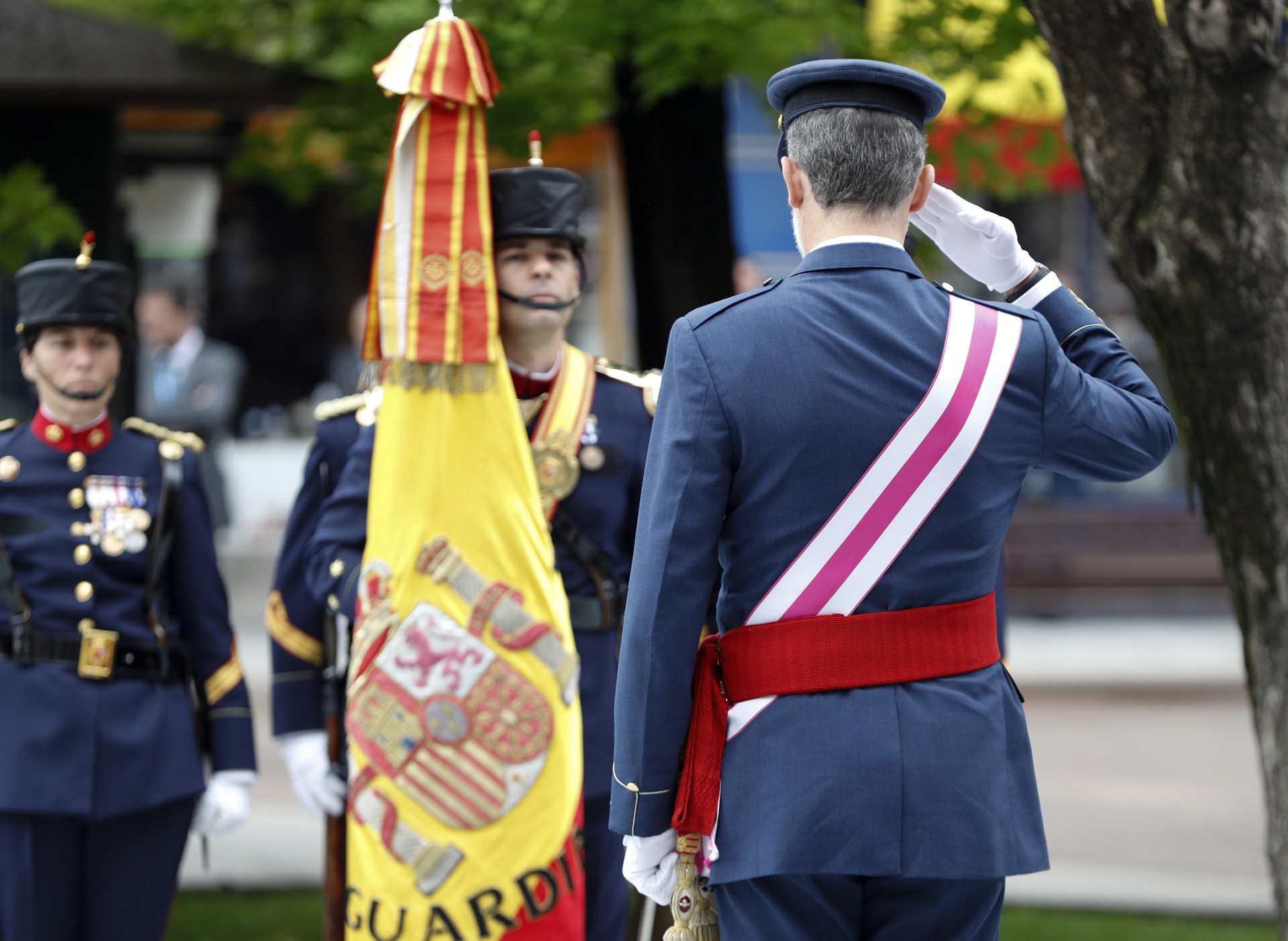 Mejores imágenes del desfile del Día de las Fuerzas Armadas Libertad