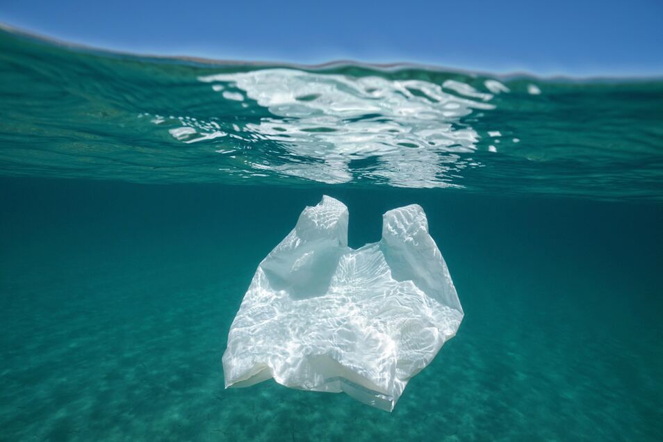Las bolsas suponen apenas un 0,8% del plÃ¡stico oceÃ¡nico