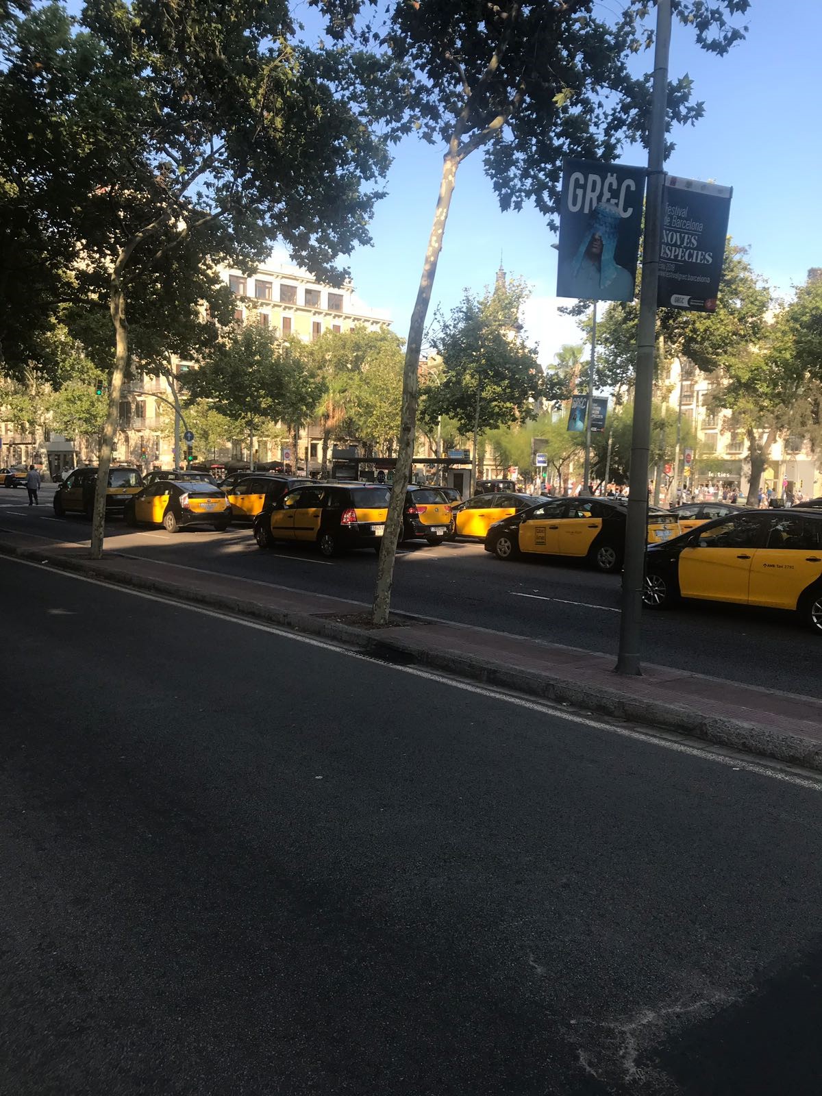 taxi-ld2.jpg