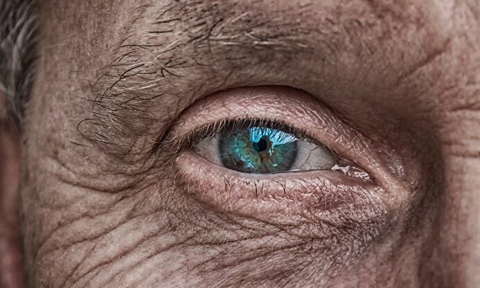  Pixabay/CC/analogicus