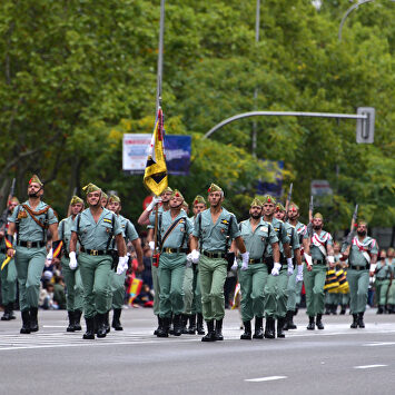  David Alonso Rincón