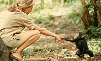 Fotografía de Jane Goodall, de Hugo Van Lawick. | Fundación Telefónica