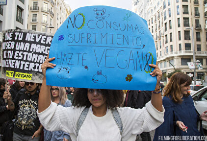 Manifestación antiespecista contra el consumo de carne en Madrid | Noviembre Antiespecista