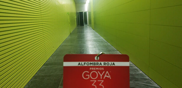 Premios Goya |  David Alonso Rincón