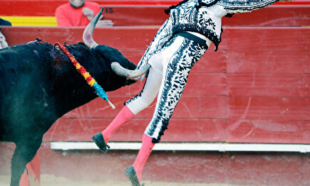 Terrorífica cornada a Enrique Ponce en Valencia