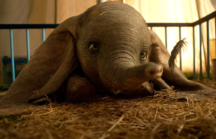 Los 10 batacazos de taquilla de 2019