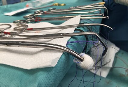 Rafael Ribó ha achacado las listas de espera a los que vienen de otras regiones |  Flickr/CC/Dr. Eduardo García Cruz