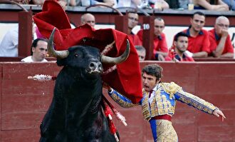 Fernando Robleño ante un ejemplar de Cuadri en la Feria de San Isidro de 2017. |  Plaza 1