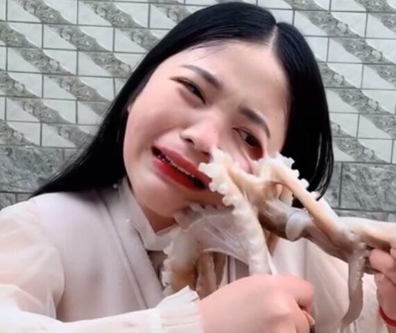 Un pulpo ataca a una bloguera china cuando quería comérselo vivo