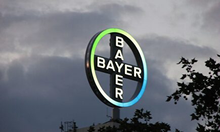 Bayer |  Flickr