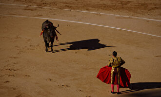 Un año casi en blanco para el toreo | David Alonso Rincón