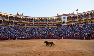Plaza de Las Ventas, en Madrid |  David Alonso Rincón
