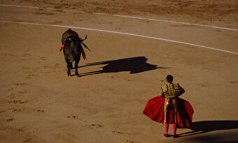Un año casi en blanco para el toreo | David Alonso Rincón