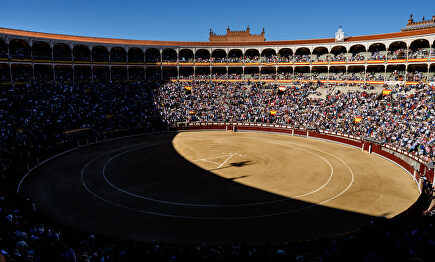 La Plaza de toros de Las Ventas | David Alonso Rincón