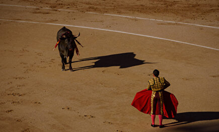 Un año casi en blanco para el toreo | David Alonso Rincón