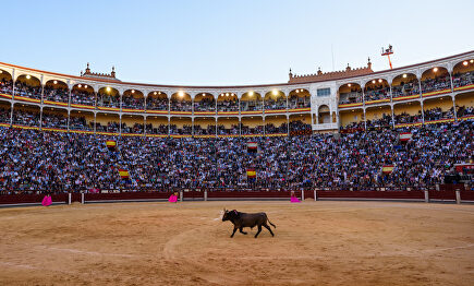 Plaza de Las Ventas, en Madrid |  David Alonso Rincón