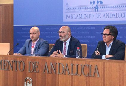 El portavoz de Vox en el Parlamento andaluz, Alejandro Hernández, en rueda de prensa |  Vox