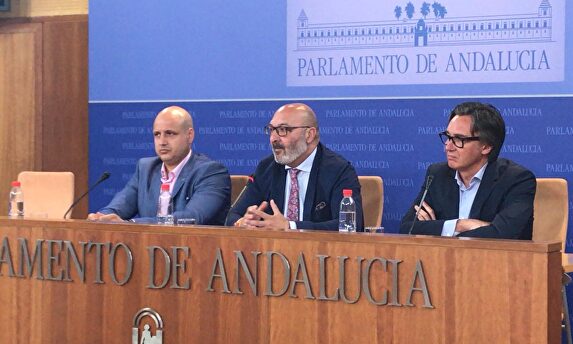 El portavoz de Vox en el Parlamento andaluz, Alejandro Hernández, en rueda de prensa |  Vox