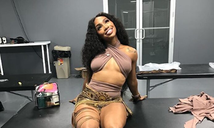 La cantante SZA |  Instagram