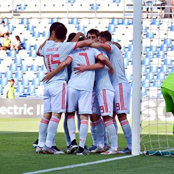 La selección celebra el primer tanto anotado por Dani Olmo. |  EFE