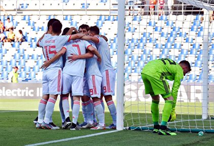 La selección celebra el primer tanto anotado por Dani Olmo. |  EFE