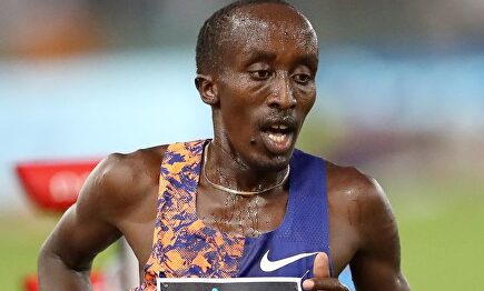 Pingua, la perla de ¿17 años? |  AGENCIAS