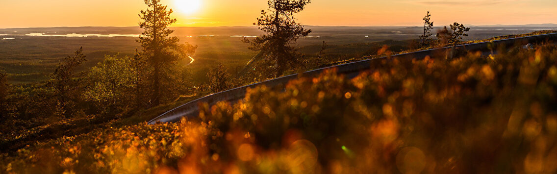   | David Alonso Rincón