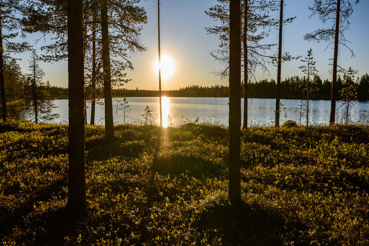 Laponia: un viaje al fin del mundo para ver el Sol de Medianoche
