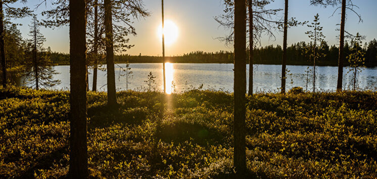 Laponia: un viaje al fin del mundo para ver el Sol de Medianoche
