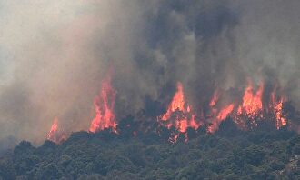 Incendio que asoló el municipio de Almorox en Toledo |  EFE