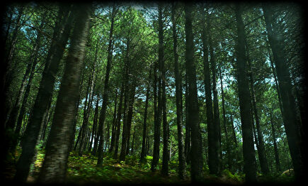 Planes que hacer en el valle del Tiétar