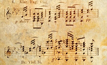  Pixabay/CC/cocoparisienne