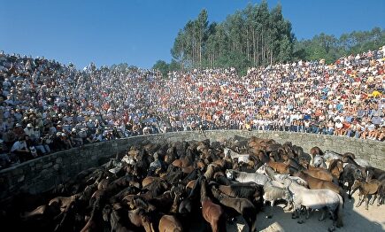 Rapa das bestas de Sabucedo en una imagen de archivo | TURGALICIA - Archivo