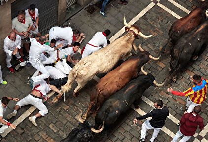 Los Cebada Gago protagonizan el segundo encierro de los sanfermines 2019 |  EFE