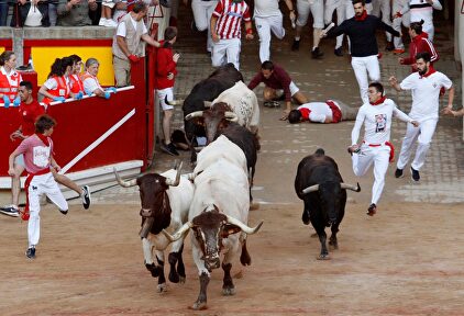Los toros de Jandilla protagonizan el cuarto encierro de los sanfermines 2019 |  EFE