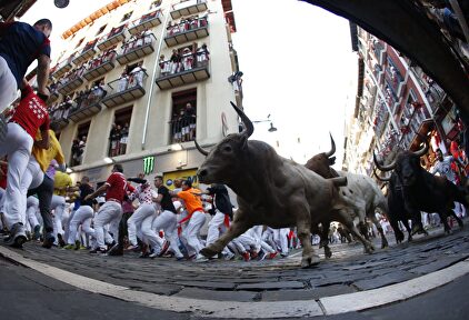 Sexto encierro de los Sanfermines 2019, con toros de de Núñez del Cuvillo, de Vejer de la Frontera. |  EFE