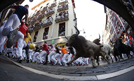 Sexto encierro de los Sanfermines 2019, con toros de de Núñez del Cuvillo, de Vejer de la Frontera. |  EFE