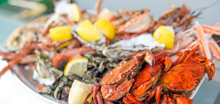 Un plato típico del Festival do Marisco. |  Turismo de Algarve